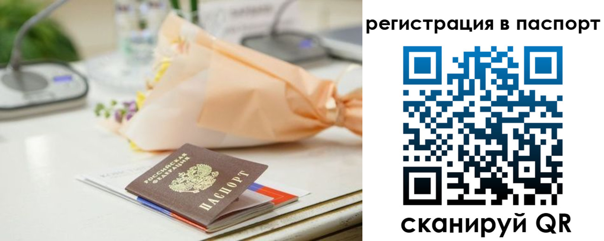 прописка в квартире в Мытищах